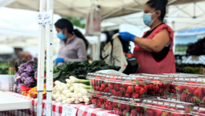 farmers-market-event