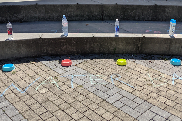 water-bar