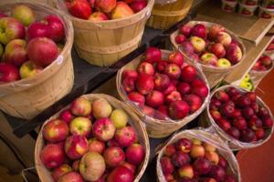 fm-apples